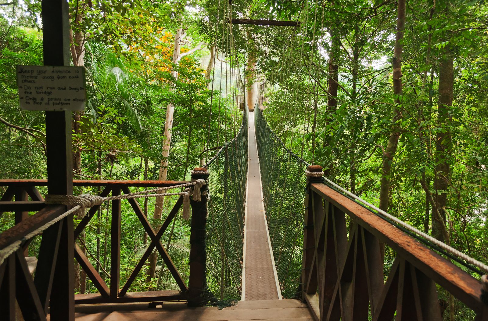 Malaysia Rundreise (Gruppe oder Privat) Taman Negara Nationalpark