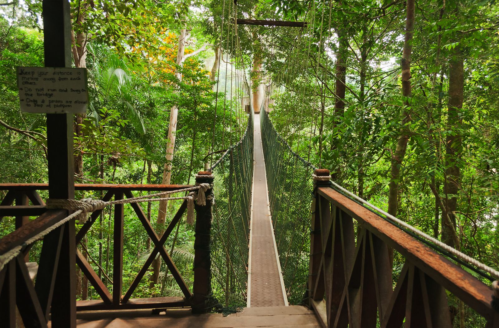  Malaysia  Rundreise Gruppe oder Privat Taman  Negara  